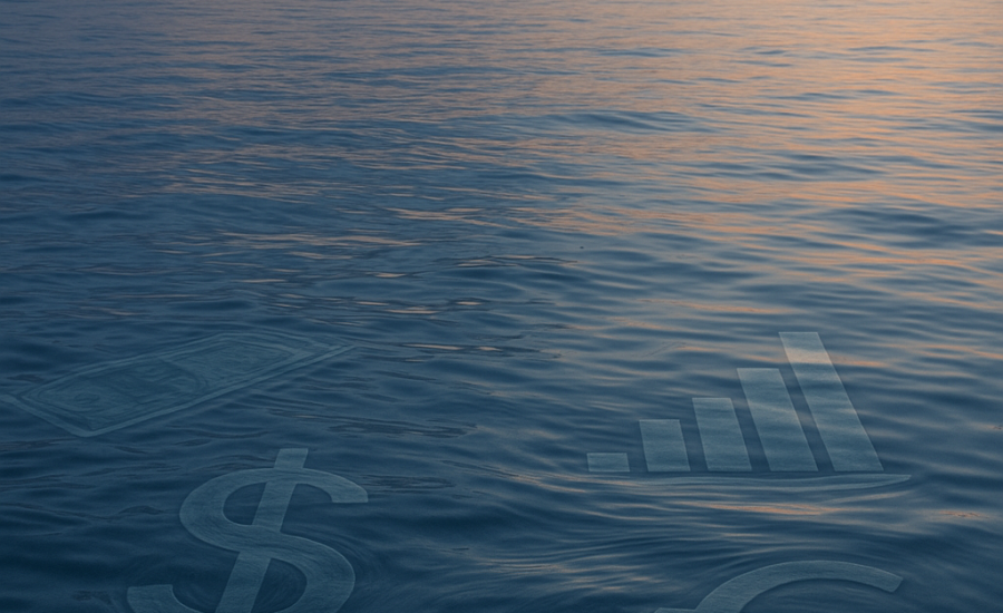 een afbeelding van geld in het water door annelies van de velde van vdv analyze